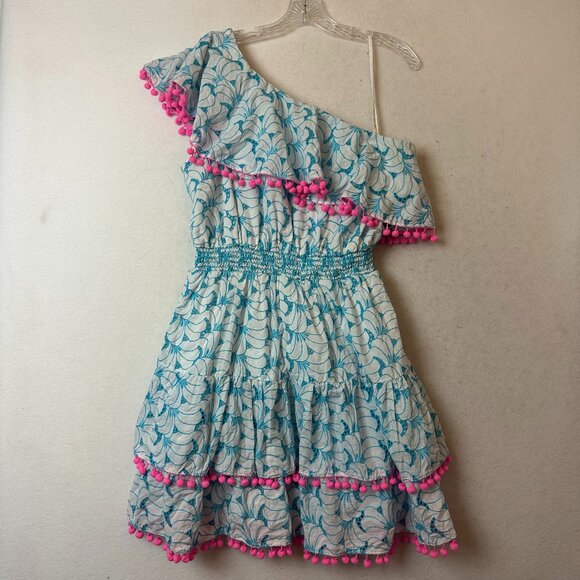 Lilly Pulitzer Addilyn 1 Shoulder Dress sz XL  Blue Pink Tropical Swirl Eyelet - Picture 1 of 6